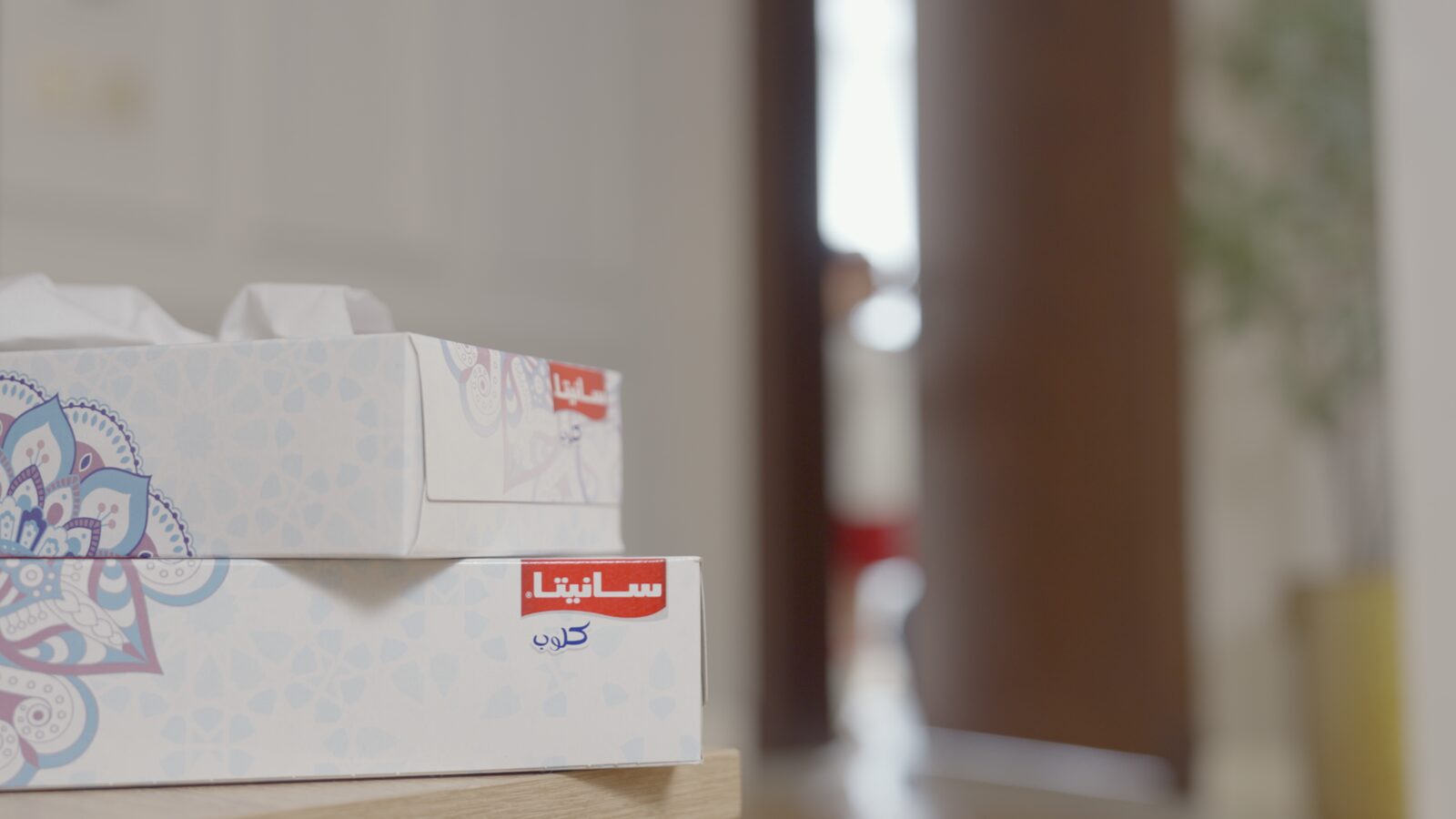 Sanita campaign visual 1